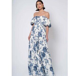 Blue Peony Garden Printed Taffeta Gown Style Sutton Size 10